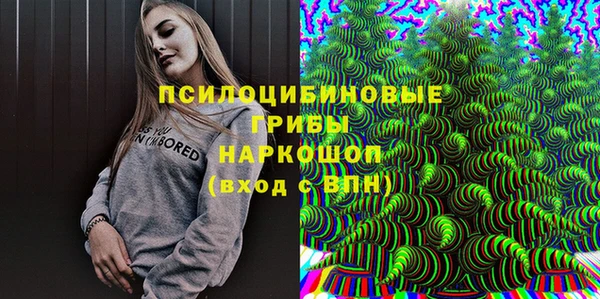 СК Богданович