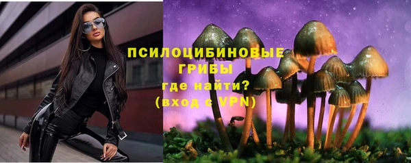 СК Богданович